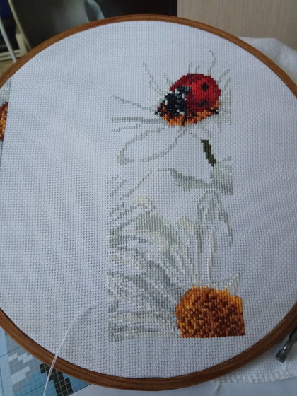 Этап процесса «Ромашки»