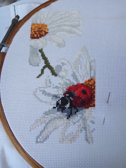 Этап процесса «Ромашки»