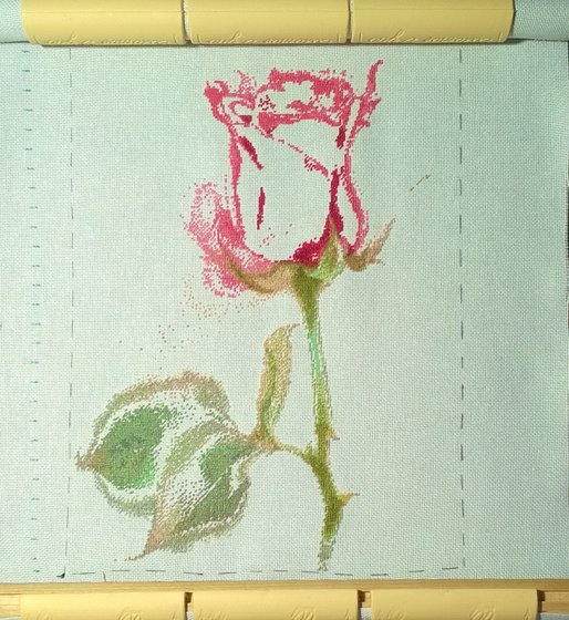 Этап процесса «Алая роза»