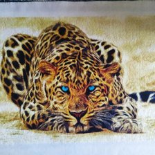 Процесс «Леопард»