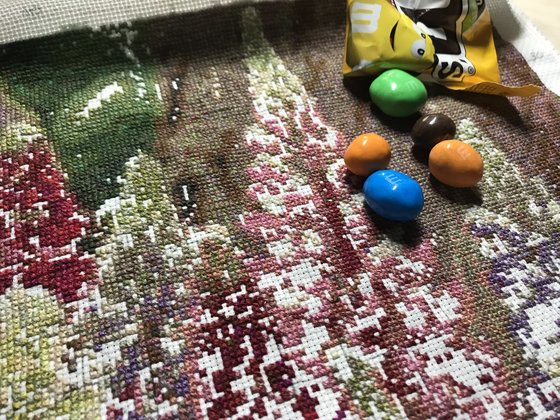 Этап процесса «Люпины для тёти»