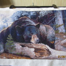 Процесс «Kustom Kraft " Black Bear Country" - Страна черных медведей»