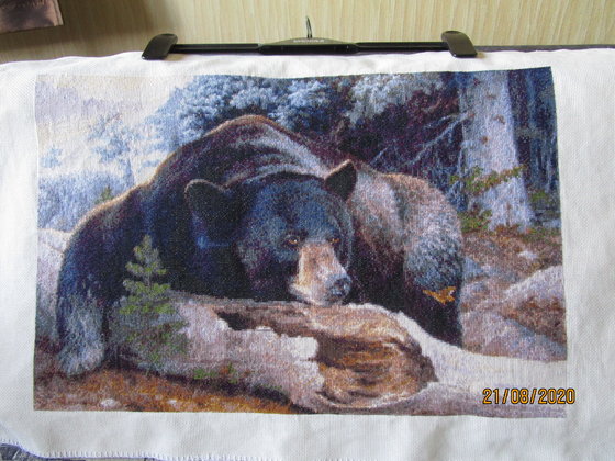 Этап процесса «Kustom Kraft " Black Bear Country" - Страна черных медведей»