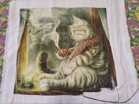 Этап процесса «Кот»