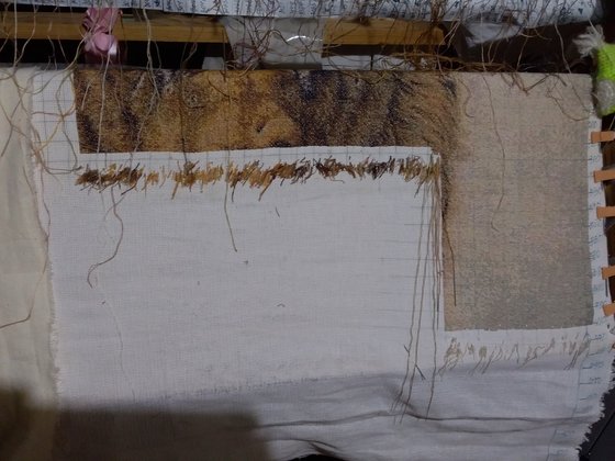 Этап процесса «Лев 560 ×502 155 гамма»