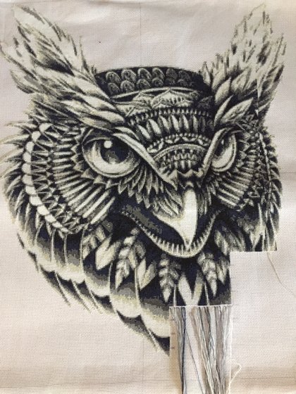 Этап процесса «Мудрая сова»