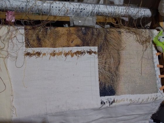 Этап процесса «Лев 560 ×502 155 гамма»