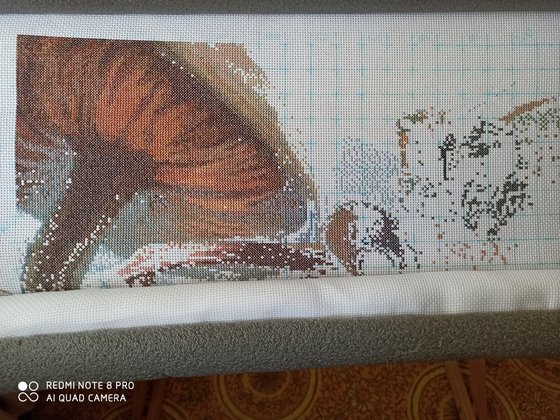 Этап процесса «Чеширский кот.»