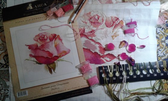 Этап процесса «Дыхание Розы»