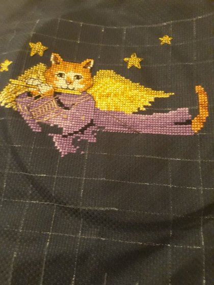 Этап процесса «Котята ангелы»