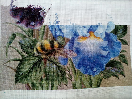 Этап процесса «Ирисы»