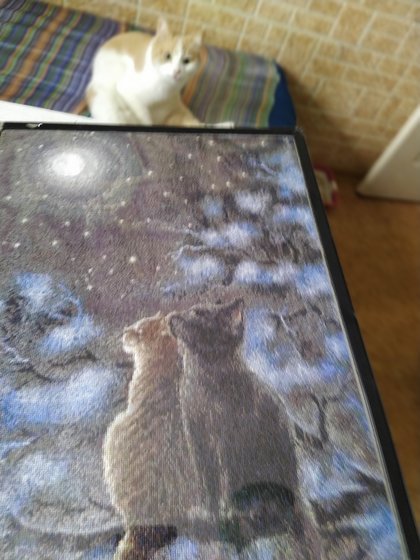 Этап процесса «Сияние»