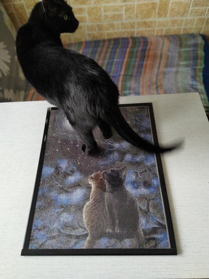 Этап процесса «Сияние»