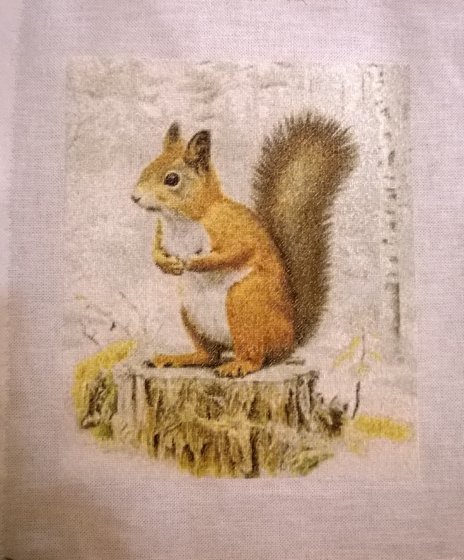 Этап процесса «белка»