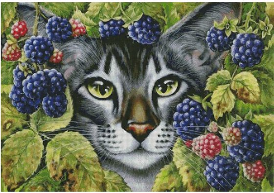 Этап процесса «Кот в ежевике»