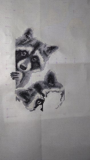 Этап процесса «Любопытные еноты»