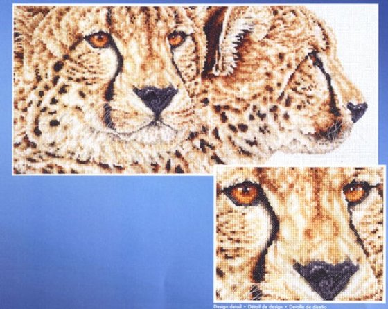 Этап процесса «Cheetah Pair»