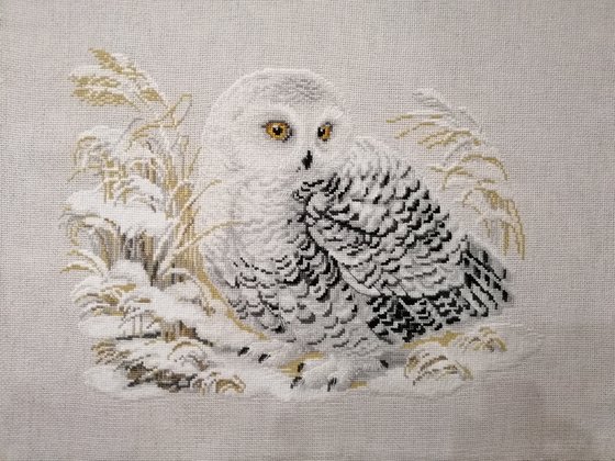 Этап процесса «Полярная (белая) сова  от Риолис.»