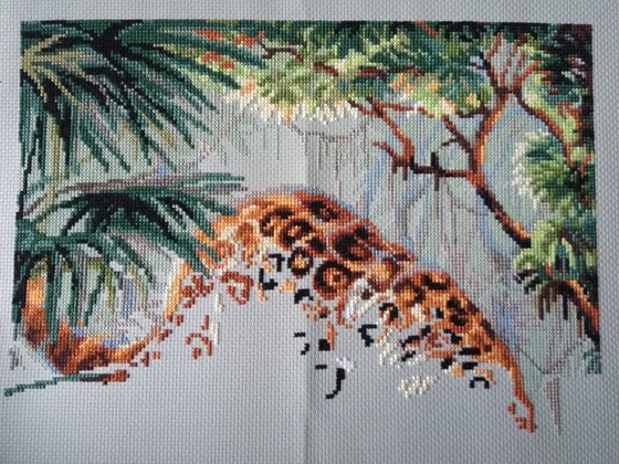 Этап процесса «Леопард»