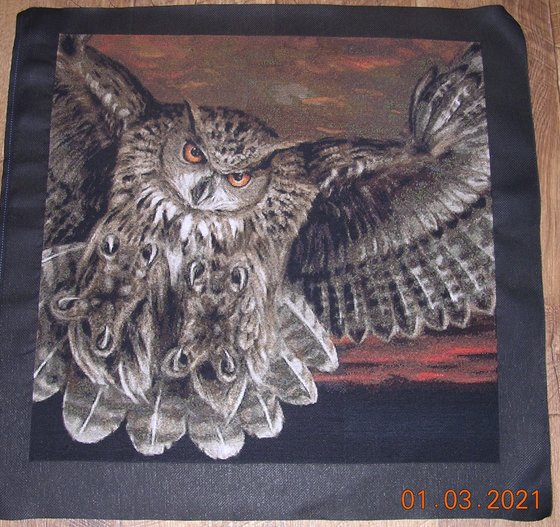 Этап процесса «Сова»