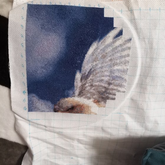 Этап процесса «Грифон»