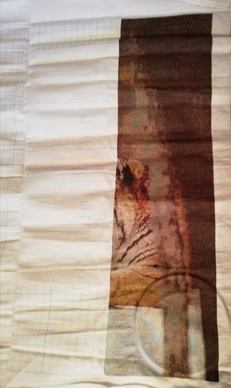 Этап процесса «Тигры»