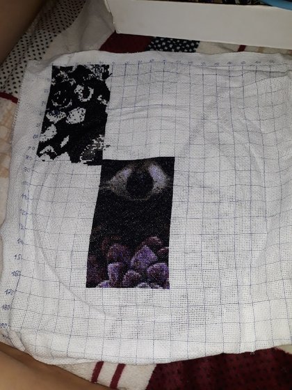 Этап процесса «енот в цветах»