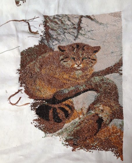 Этап процесса «Дикий кот»