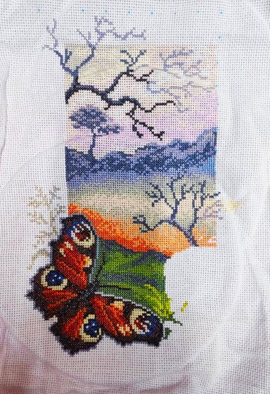 Этап процесса ««Бабочка Павлиний глаз»»