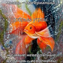 Процесс «№7036»