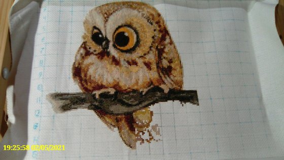 Этап процесса «"Совушки - красавицы"»