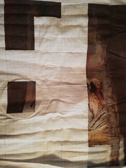 Этап процесса «Тигры»