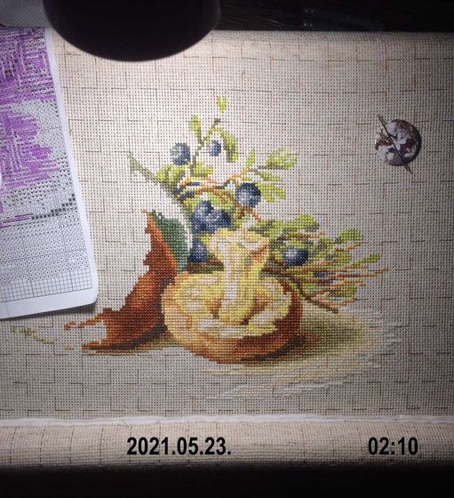 Этап процесса «Натюрморт с грибами (Lucа-S)»