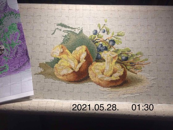 Этап процесса «Натюрморт с грибами (Lucа-S)»