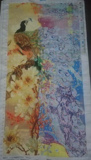 Этап процесса «Павлин с магнолиями»