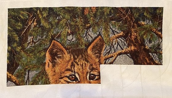 Этап процесса «Рысь»