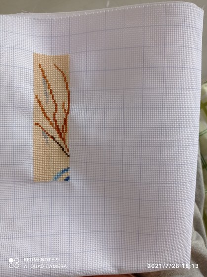 Этап процесса «Красавица лошадка»