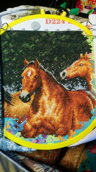 Этап процесса «ЛОШАДКИ»