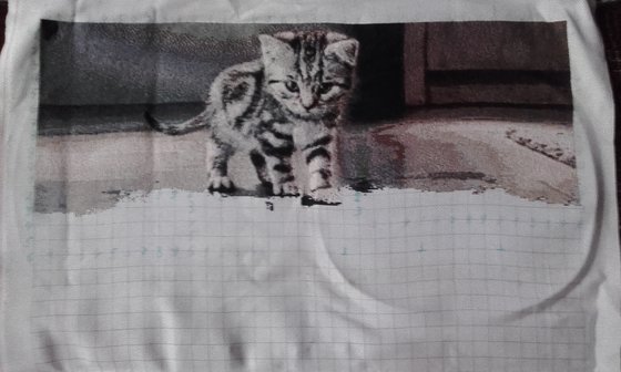 Этап процесса «Тигрёнок»