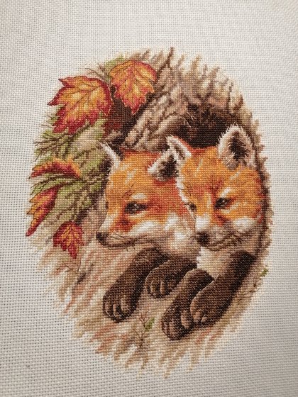 Этап процесса «Лисята   Кларт»