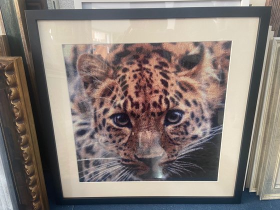 Этап процесса «Леапард (взгляд)»