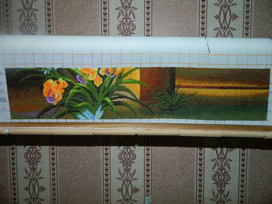 Этап процесса «Павлины»