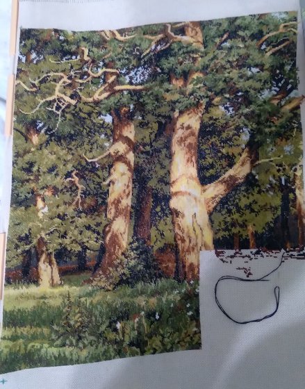 Этап процесса «Дубовая роща.»