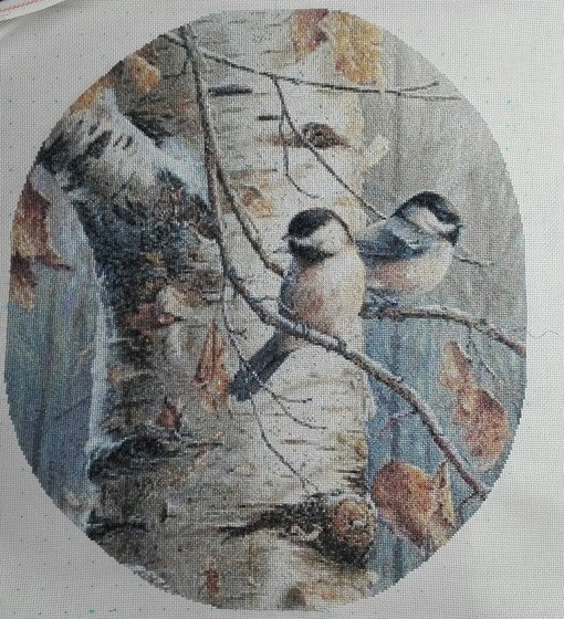 Этап процесса «СИНИЧКИ»