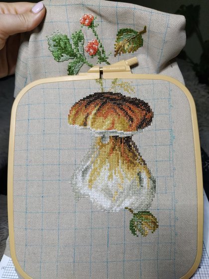 Этап процесса «Белые грибы»