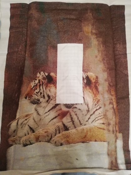 Этап процесса «Тигры»