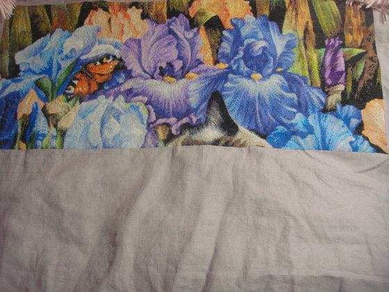 Этап процесса «Кот в ирисах ХАЕД»