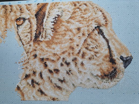 Этап процесса «Cheetah Pair»