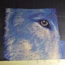 Процесс «Портрет волка»