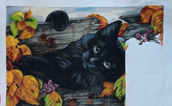 Этап процесса «HAED Дырка в заборе»